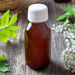 Herbal Tincture